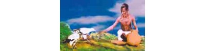 264. திருக்கழுக்குன்றம்
